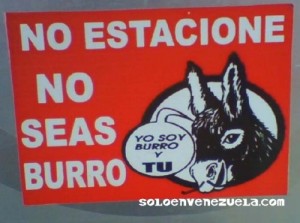 Burro-500x372